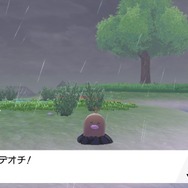 『ポケモン ソード・シールド』「鎧の孤島」で人語を話すディグダが話題に―自己紹介もするしワガママも言ってくる【特集】