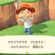 別名・バカ蝶！？『あつまれ どうぶつの森』に登場する「オオゴマダラ」ってこんな蝶【平坂寛の『あつ森』博物誌】