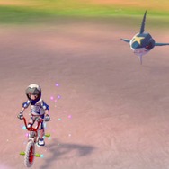 『ポケモン ソード・シールド』「鎧の孤島」この連れ歩きがすごい15選！ ポリゴンZやヨクバリスは必見