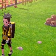 『ポケモン ソード・シールド』「鎧の孤島」この連れ歩きがすごい15選！ ポリゴンZやヨクバリスは必見