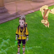 『ポケモン ソード・シールド』「鎧の孤島」この連れ歩きがすごい15選！ ポリゴンZやヨクバリスは必見