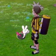 『ポケモン ソード・シールド』「鎧の孤島」この連れ歩きがすごい15選！ ポリゴンZやヨクバリスは必見