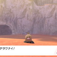 『ポケモン ソード・シールド』DLC「鎧の孤島」の小ネタ24選！ ダクマ抜きでもストーリーは進められる!?