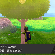 『ポケモン ソード・シールド』DLC「鎧の孤島」の小ネタ24選！ ダクマ抜きでもストーリーは進められる!?