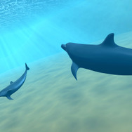 SEAFARM～イルカとわたしのショータイム～