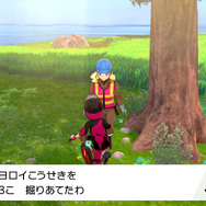 『ポケモン ソード・シールド』DLC「鎧の孤島」の小ネタ24選！ ダクマ抜きでもストーリーは進められる!?