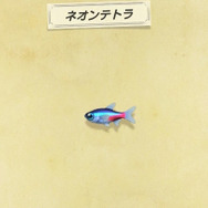 『あつまれ どうぶつの森』黄金の魚は運動神経バツグン！「ドラド」ってどんな魚？【平坂寛の『あつ森』博物誌】