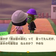 『あつまれ どうぶつの森』 まもなく梅雨明けだけど“雨の日”って悪くないよね─細かな水滴の表現や雨上がりの虹に見とれてみない？