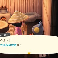 『あつまれ どうぶつの森』 まもなく梅雨明けだけど“雨の日”って悪くないよね─細かな水滴の表現や雨上がりの虹に見とれてみない？