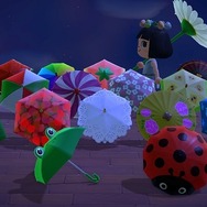 『あつまれ どうぶつの森』 まもなく梅雨明けだけど“雨の日”って悪くないよね─細かな水滴の表現や雨上がりの虹に見とれてみない？