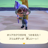 あつまれ どうぶつの森』7月からは虫取りで大儲け！ 新登場の