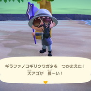 どうぶつの森 あつまれ どうぶつの森』7月からは虫取りで大儲け！ 新登場の