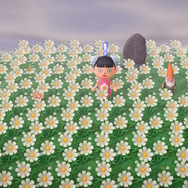 『あつまれ どうぶつの森』“神島”になれなかった“挫折島”だって第二の故郷─コンプレックスを受け入れたら気持ちが軽くなった、元ガリ勉少年の開き直り