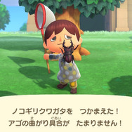 夏本番！『あつまれ どうぶつの森』に出てくる「ノコギリクワガタ」ってどんな虫？【平坂寛の『あつ森』博物誌】