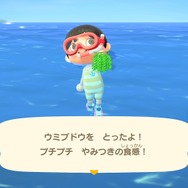 『あつまれ どうぶつの森』ダイビングをさらに楽しむ小ネタ10選！ コツを覚えれば飛び込み方も操作できる