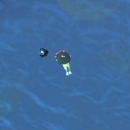 『あつまれ どうぶつの森』ダイビングをさらに楽しむ小ネタ10選！ コツを覚えれば飛び込み方も操作できる