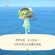 『あつまれ どうぶつの森』気分は海女さん!? 素潜り80回分の「海の幸」でいくら稼げるか試してみた!