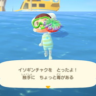 『あつまれ どうぶつの森』気分は海女さん!? 素潜り80回分の「海の幸」でいくら稼げるか試してみた!