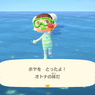『あつまれ どうぶつの森』気分は海女さん!? 素潜り80回分の「海の幸」でいくら稼げるか試してみた!