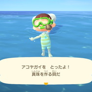 『あつまれ どうぶつの森』気分は海女さん!? 素潜り80回分の「海の幸」でいくら稼げるか試してみた!