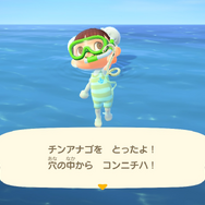 『あつまれ どうぶつの森』気分は海女さん!? 素潜り80回分の「海の幸」でいくら稼げるか試してみた!