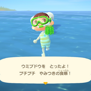 『あつまれ どうぶつの森』気分は海女さん!? 素潜り80回分の「海の幸」でいくら稼げるか試してみた!
