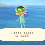 『あつまれ どうぶつの森』気分は海女さん!? 素潜り80回分の「海の幸」でいくら稼げるか試してみた!