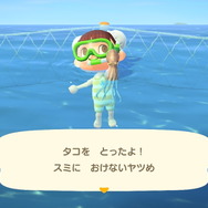 『あつまれ どうぶつの森』気分は海女さん!? 素潜り80回分の「海の幸」でいくら稼げるか試してみた!