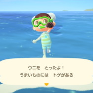 『あつまれ どうぶつの森』気分は海女さん!? 素潜り80回分の「海の幸」でいくら稼げるか試してみた!