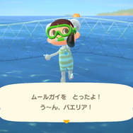 『あつまれ どうぶつの森』気分は海女さん!? 素潜り80回分の「海の幸」でいくら稼げるか試してみた!