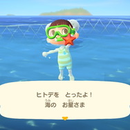 『あつまれ どうぶつの森』気分は海女さん!? 素潜り80回分の「海の幸」でいくら稼げるか試してみた!
