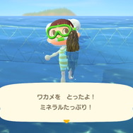 『あつまれ どうぶつの森』気分は海女さん!? 素潜り80回分の「海の幸」でいくら稼げるか試してみた!