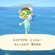 『あつまれ どうぶつの森』気分は海女さん!? 素潜り80回分の「海の幸」でいくら稼げるか試してみた!