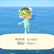 『あつまれ どうぶつの森』気分は海女さん!? 素潜り80回分の「海の幸」でいくら稼げるか試してみた!