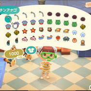 『あつまれ どうぶつの森』気分は海女さん!? 素潜り80回分の「海の幸」でいくら稼げるか試してみた!