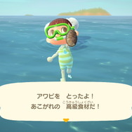 『あつまれ どうぶつの森』気分は海女さん!? 素潜り80回分の「海の幸」でいくら稼げるか試してみた!