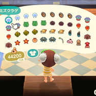 『あつまれ どうぶつの森』気分は海女さん!? 素潜り80回分の「海の幸」でいくら稼げるか試してみた!