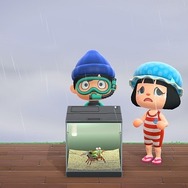 『あつまれ どうぶつの森』ホタテを食べるラコスケや水槽を殴るシャコ─海開きには細か～い作り込みがいっぱい！