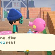 『あつまれ どうぶつの森』ホタテを食べるラコスケや水槽を殴るシャコ─海開きには細か～い作り込みがいっぱい！