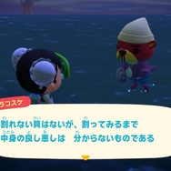 【大喜利】『あつまれ どうぶつの森』“「今朝のラコスケ、哲学が深すぎて凄かったね」と島内で話題に。なんて言った？”回答募集中！