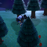 『あつまれ どうぶつの森』真夏の夜の虫取りあるある15選！ わざと逃がしたカナブンは数知れず