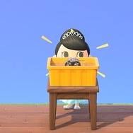 『あつまれ どうぶつの森』ホタテを食べるラコスケや水槽を殴るシャコ─海開きには細か～い作り込みがいっぱい！