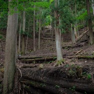 最高にタフなレースゲー『オーバーパス』はどれだけリアル？声優・白石稔と四輪バギーでオフロードを攻めてきた