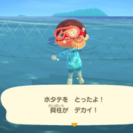 祝・海開き!『あつまれ どうぶつの森』の「シャコ」は最強ハードパンチャー!【平坂寛の『あつ森』博物誌】