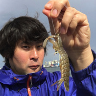 祝・海開き!『あつまれ どうぶつの森』の「シャコ」は最強ハードパンチャー!【平坂寛の『あつ森』博物誌】