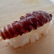 祝・海開き!『あつまれ どうぶつの森』の「シャコ」は最強ハードパンチャー!【平坂寛の『あつ森』博物誌】