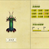 祝・海開き!『あつまれ どうぶつの森』の「シャコ」は最強ハードパンチャー!【平坂寛の『あつ森』博物誌】