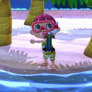 祝・海開き!『あつまれ どうぶつの森』の「シャコ」は最強ハードパンチャー!【平坂寛の『あつ森』博物誌】