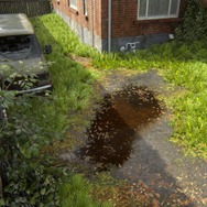 緑に支配された人工物ってワクワクしない？『The Last of Us Part II』で廃墟探索【観察特集】