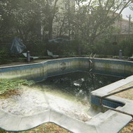 緑に支配された人工物ってワクワクしない？『The Last of Us Part II』で廃墟探索【観察特集】